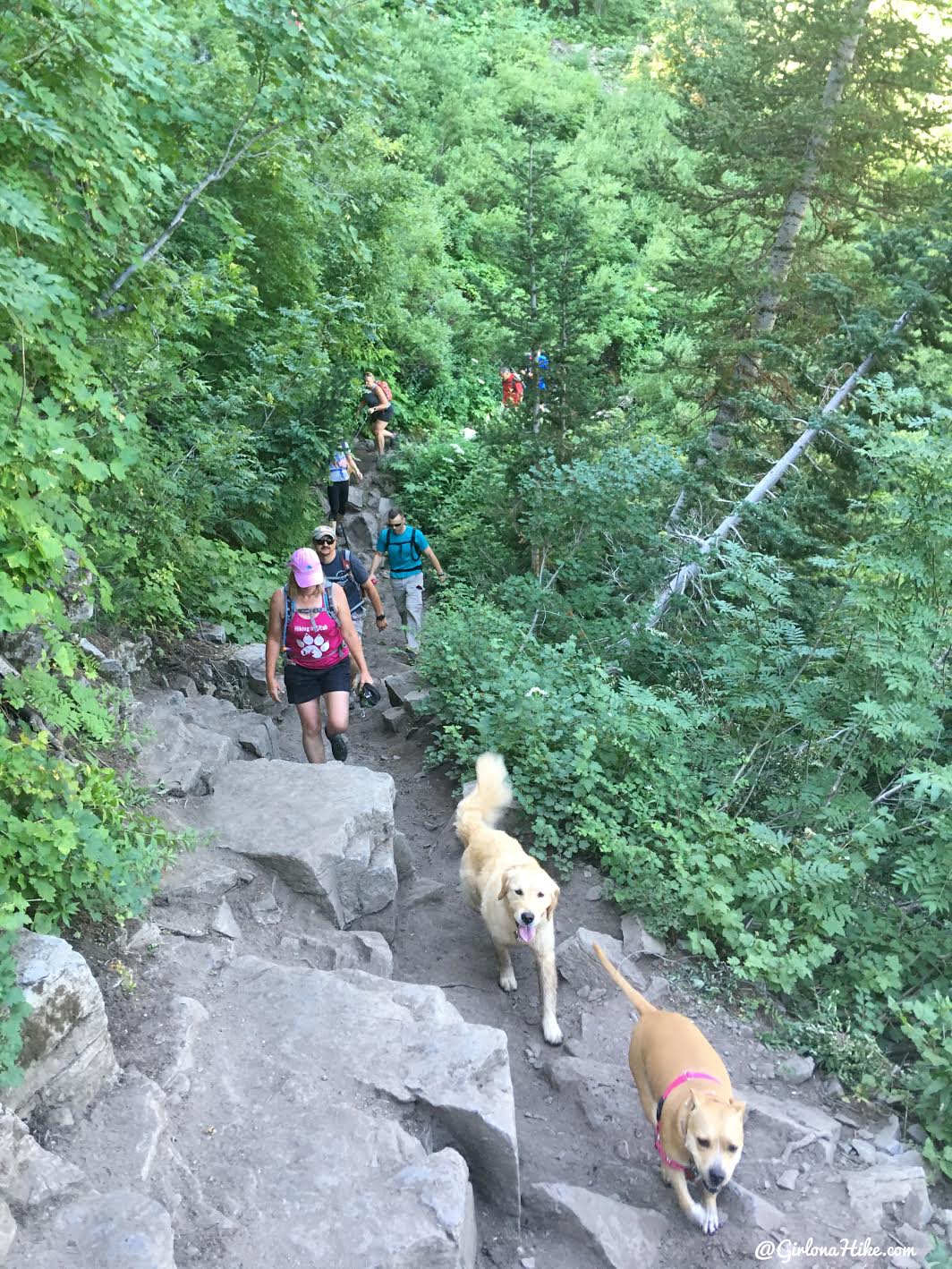 Hiking to Scout Falls - In Summer!