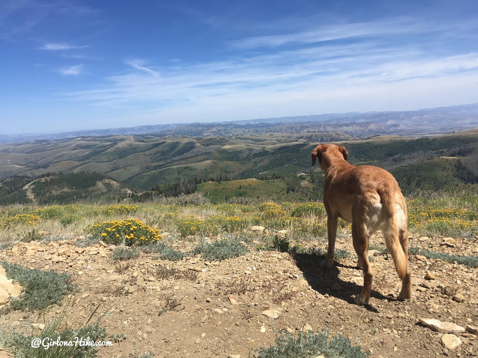 Monument Peak, Carbon County High Point