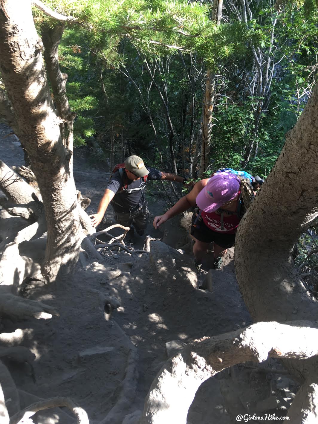 Hiking to Scout Falls - In Summer!