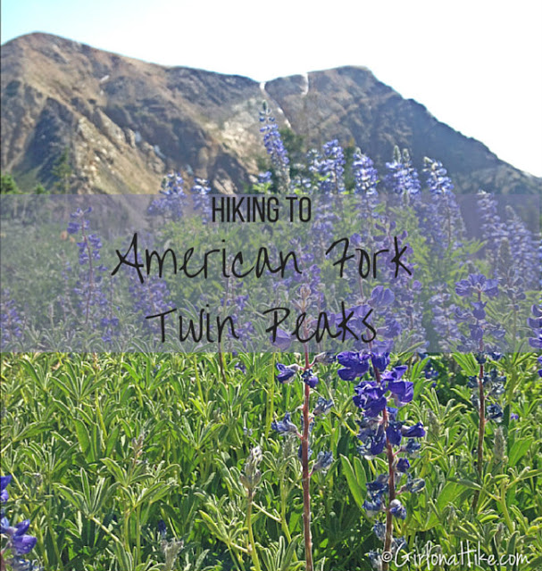 Hiking American Fork Twin Peaks