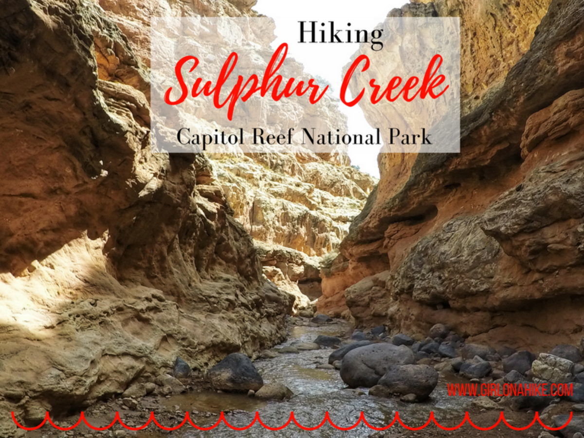 Pleasant Creek (Capitol Reef National Park, UT) – Live and Let Hike