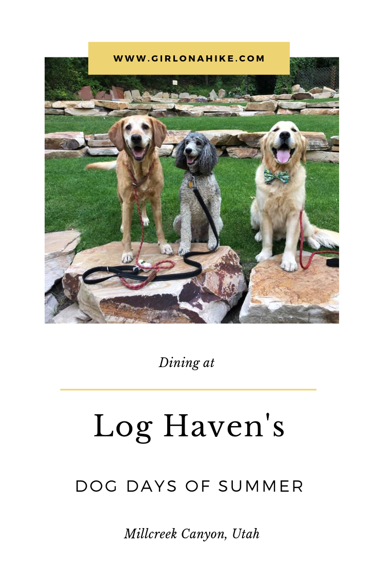 Dining at Log Haven's the Dogs Days of Summer