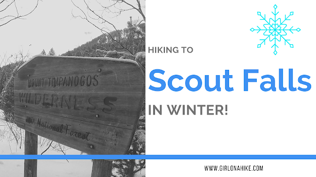 Hiking to Scout Falls - In Winter!