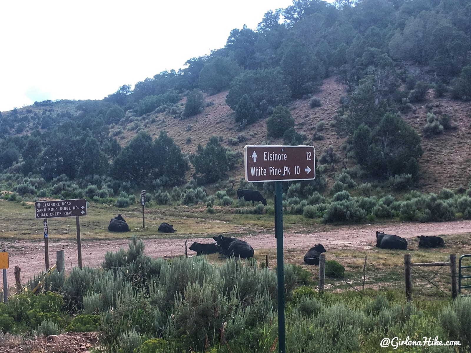 Hiking to Mine Camp Peak, Millard County High Point, Utah county high points