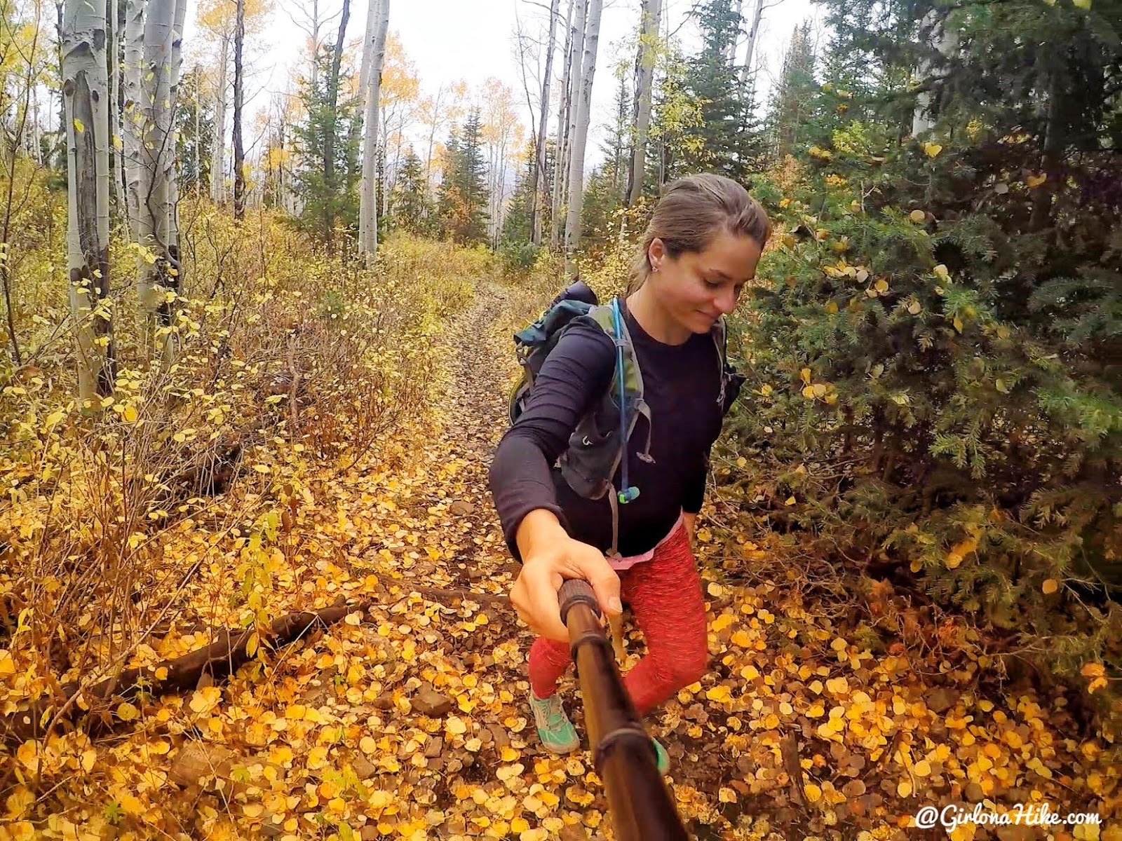 Hiking Iron Canyon, Park City, Utah, Hiking in Utah with Dogs