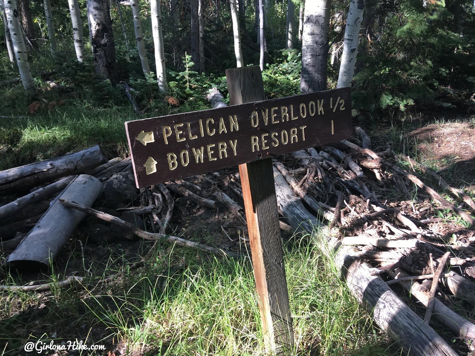 Hiking to Fish Lake Hightop, Sevier County High Point