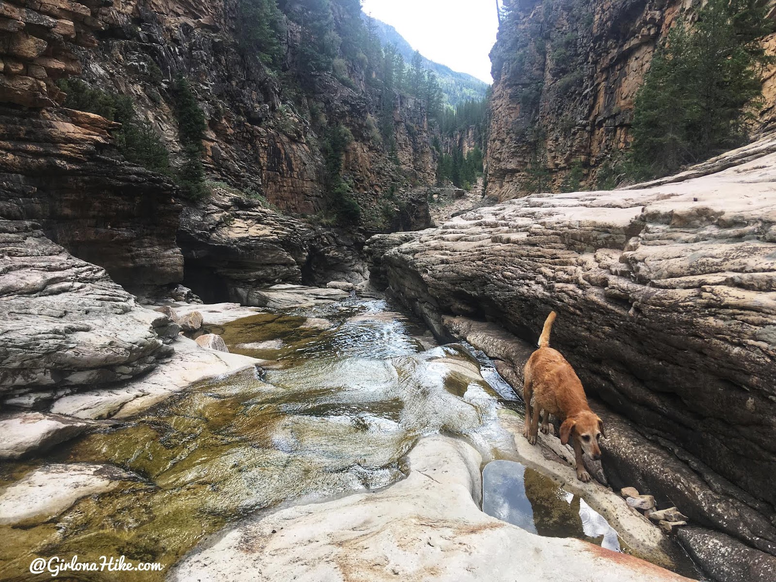 Exploring the Cataract Gorge, Uintas