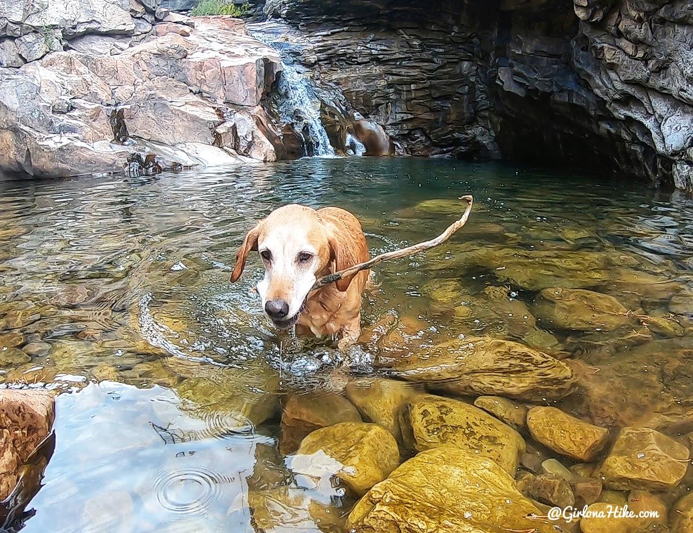 Exploring the Cataract Gorge, Uintas