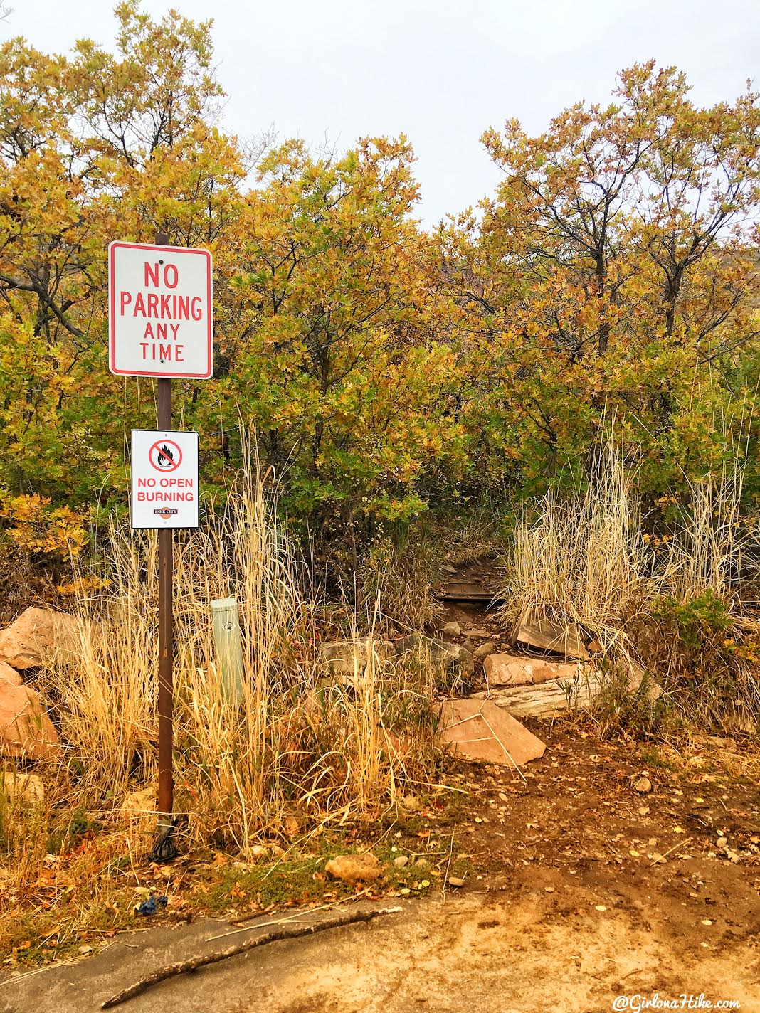 Hiking Iron Canyon, Park City, Utah, Hiking in Utah with Dogs