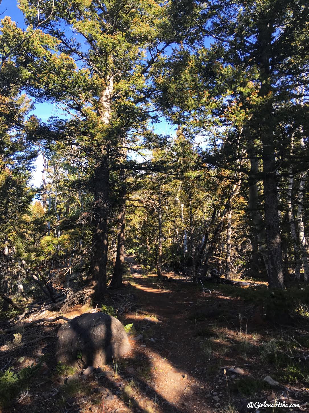 Hiking to Fish Lake Hightop, Sevier County High Point