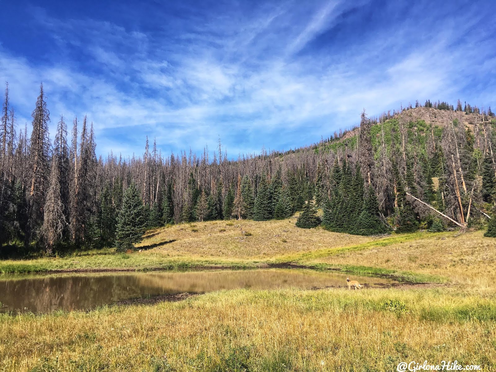 Hiking to Fish Lake Hightop, Sevier County High Point