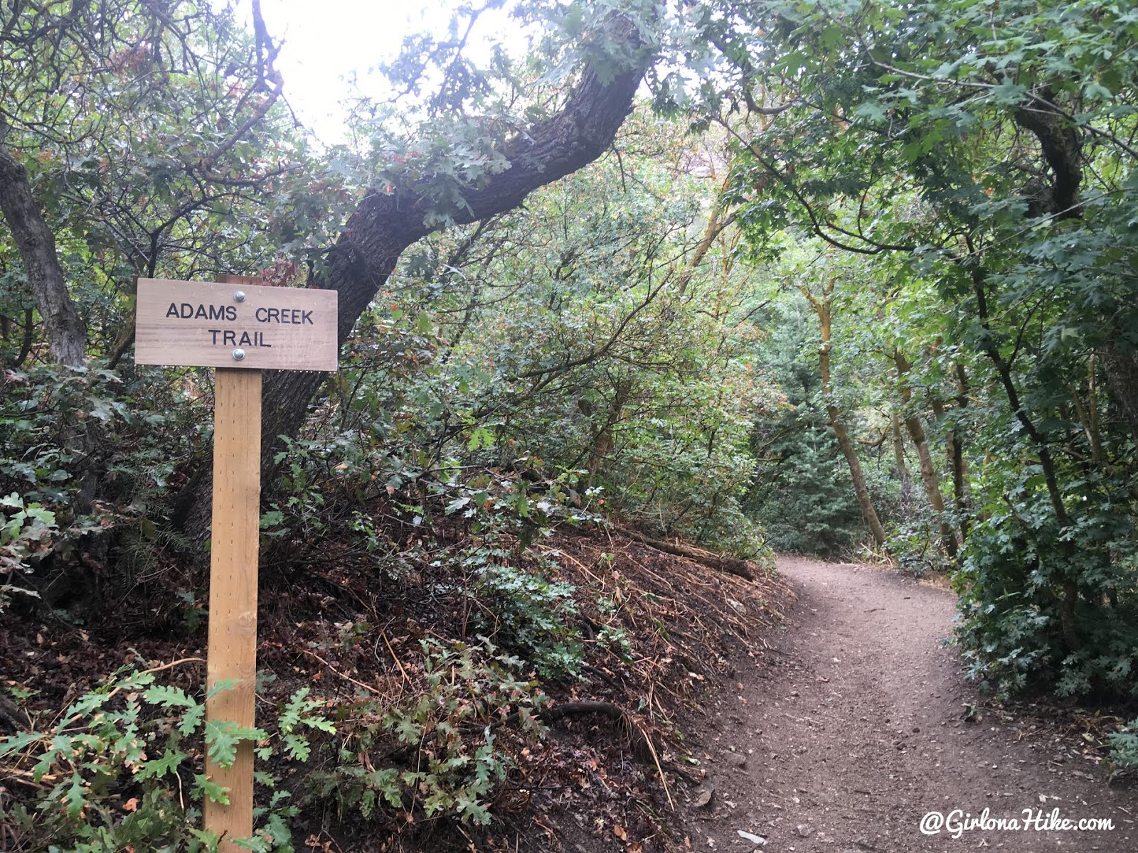 Hiking to Adam's Canyon Waterfall