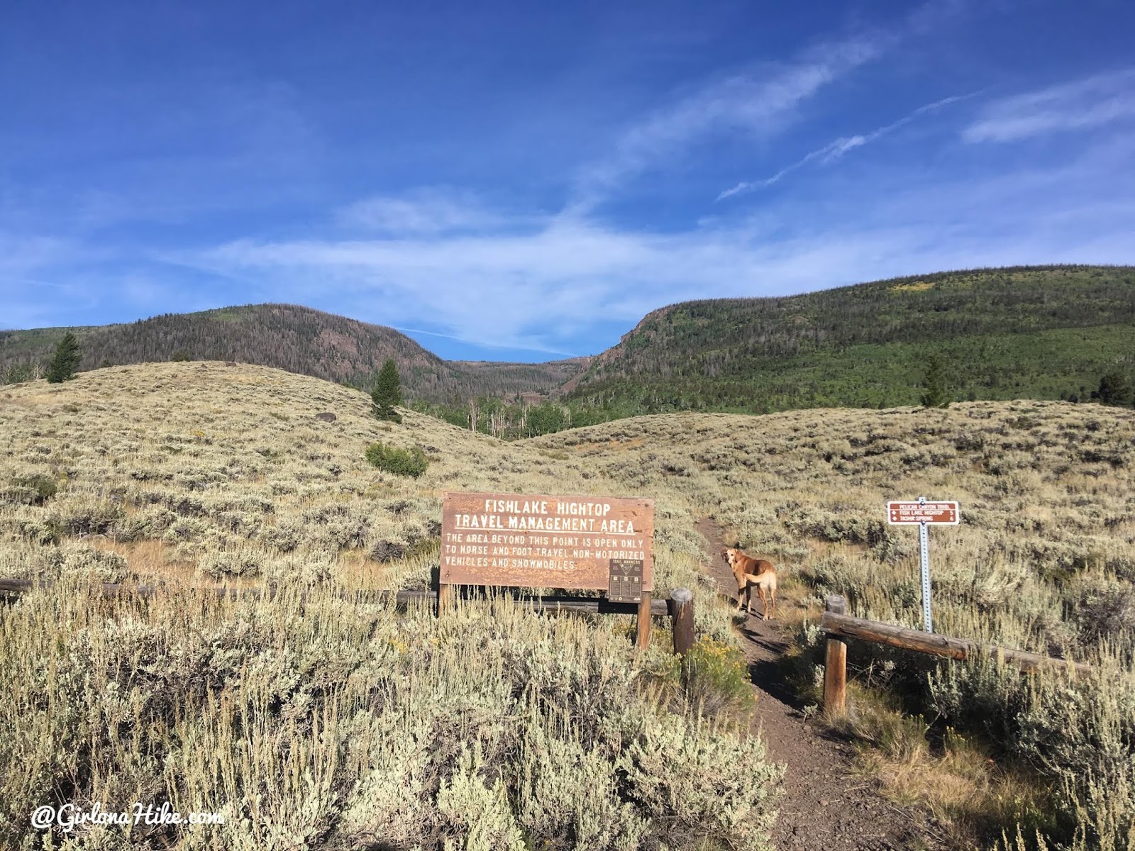 Hiking to Fish Lake Hightop, Sevier County High Point