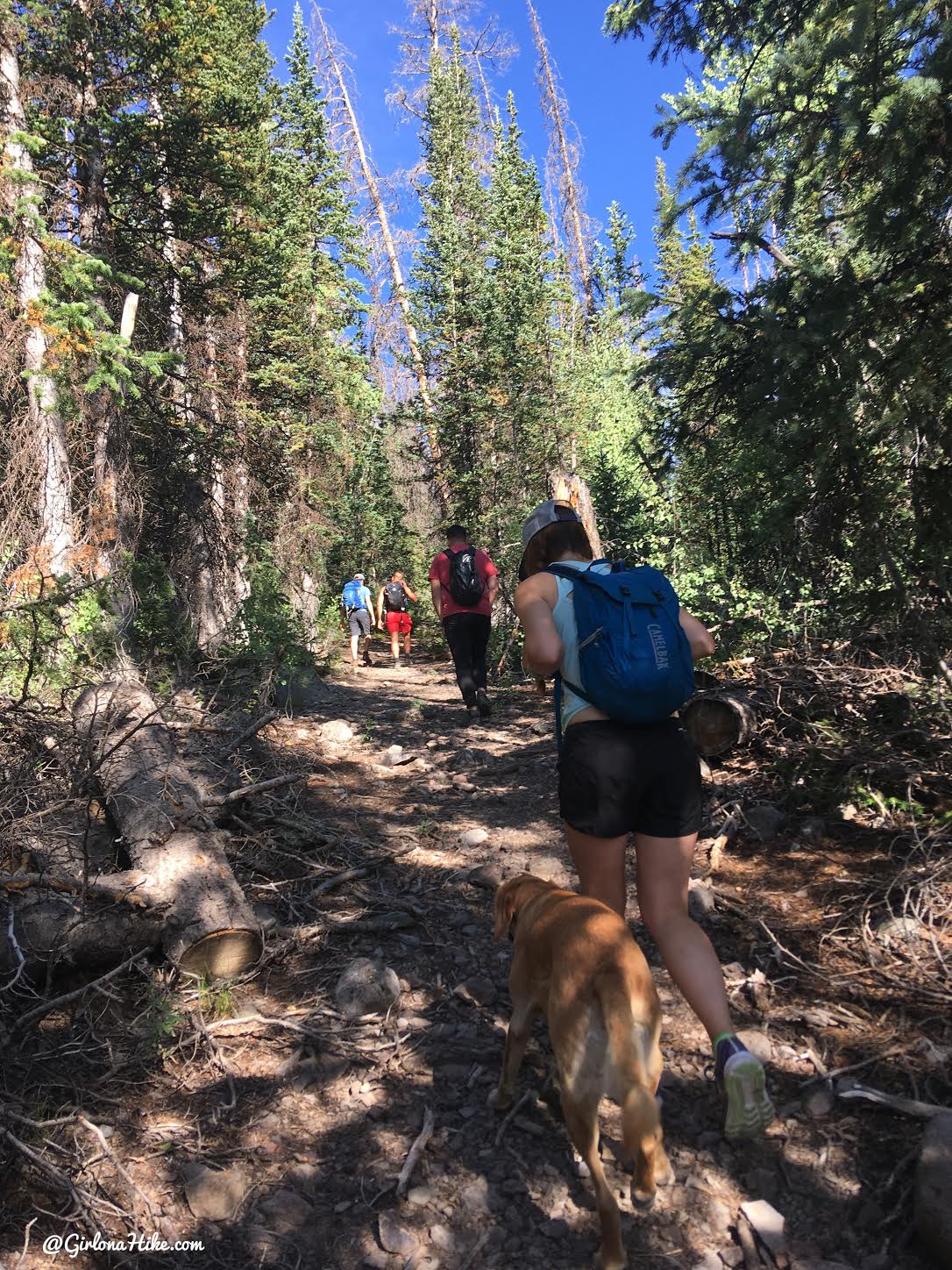 Hiking to Fish Lake Hightop, Sevier County High Point