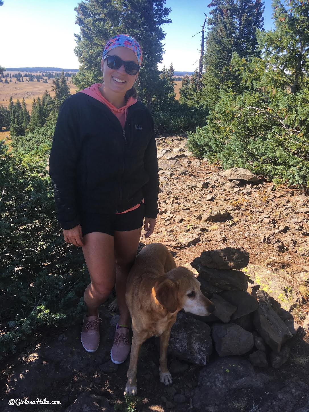 Boulder Top (Bluebell Knoll), Wayne County High Point