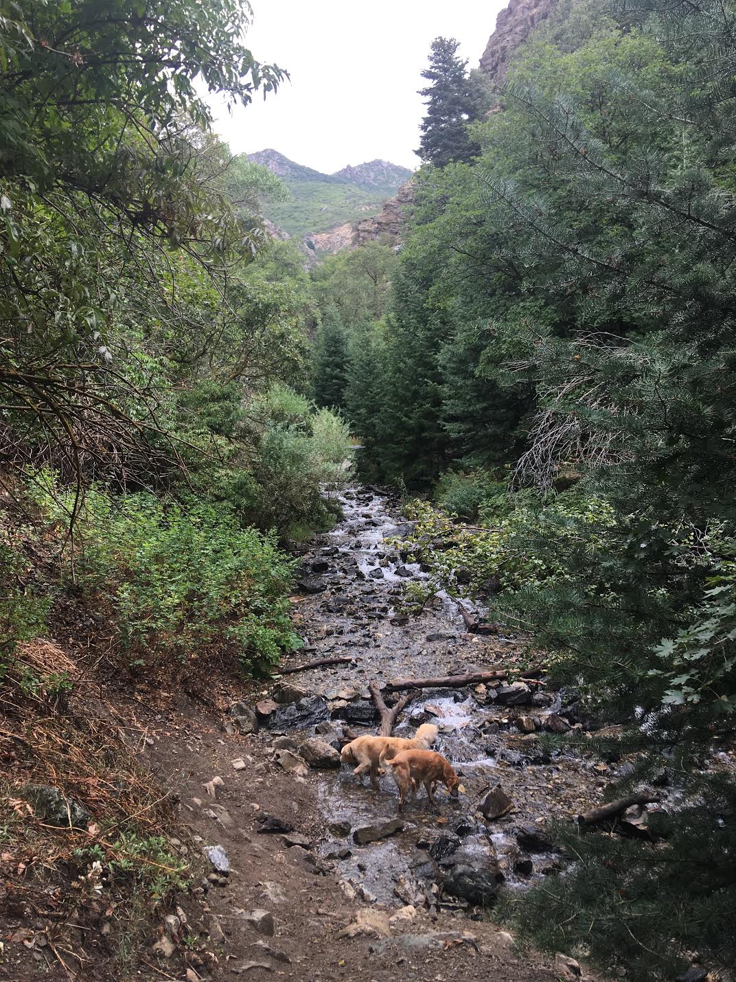 Hiking to Adam's Canyon Waterfall