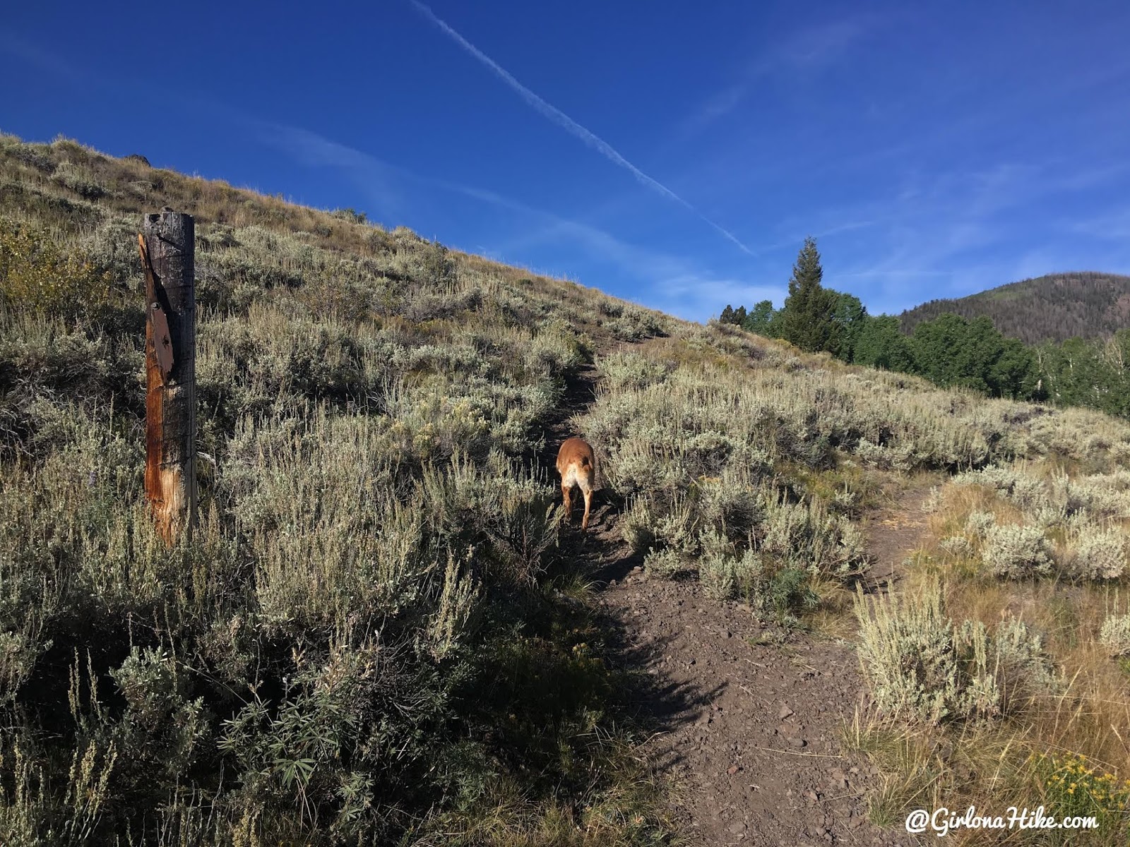 Hiking to Fish Lake Hightop, Sevier County High Point