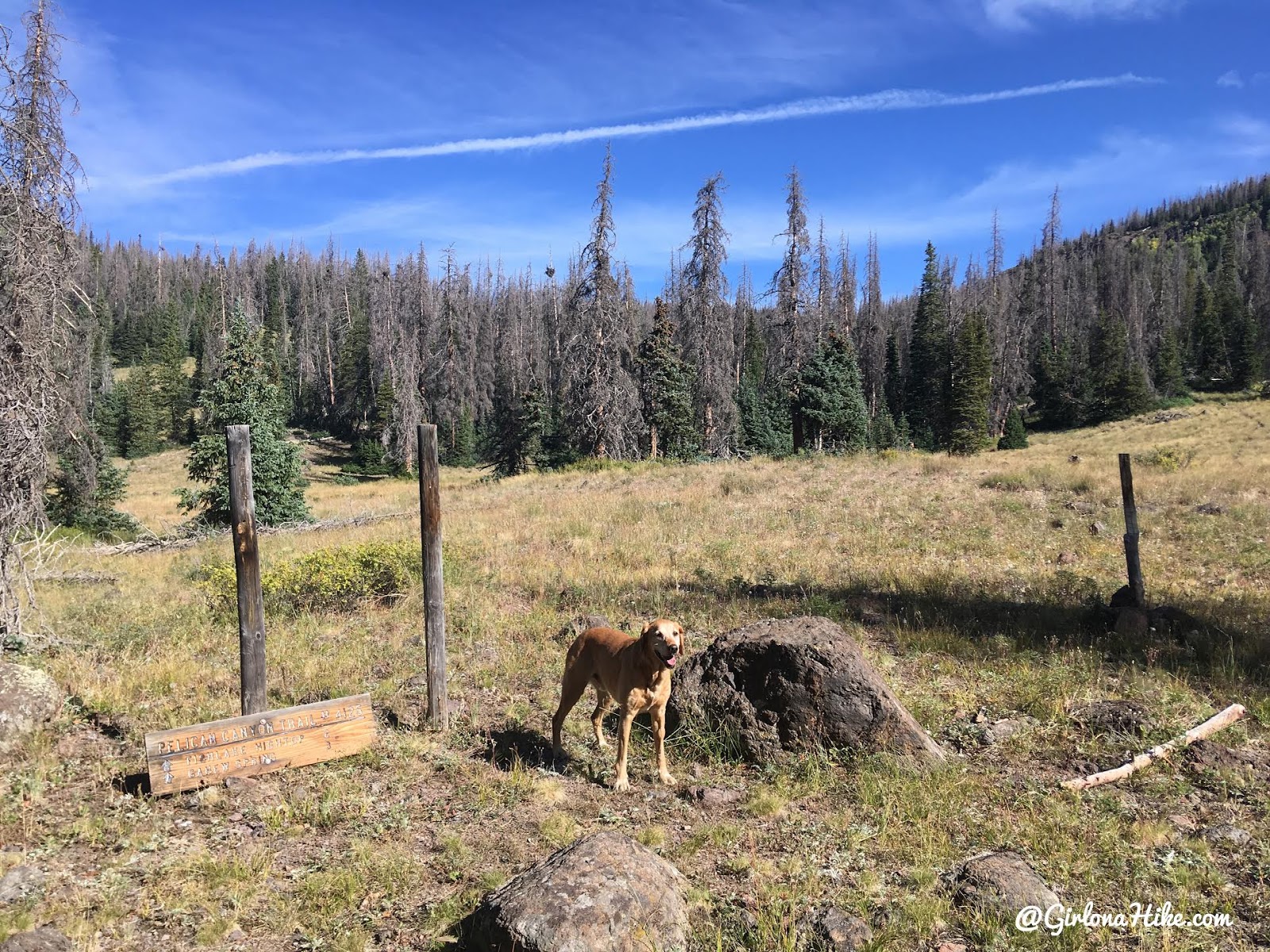 Hiking to Fish Lake Hightop, Sevier County High Point