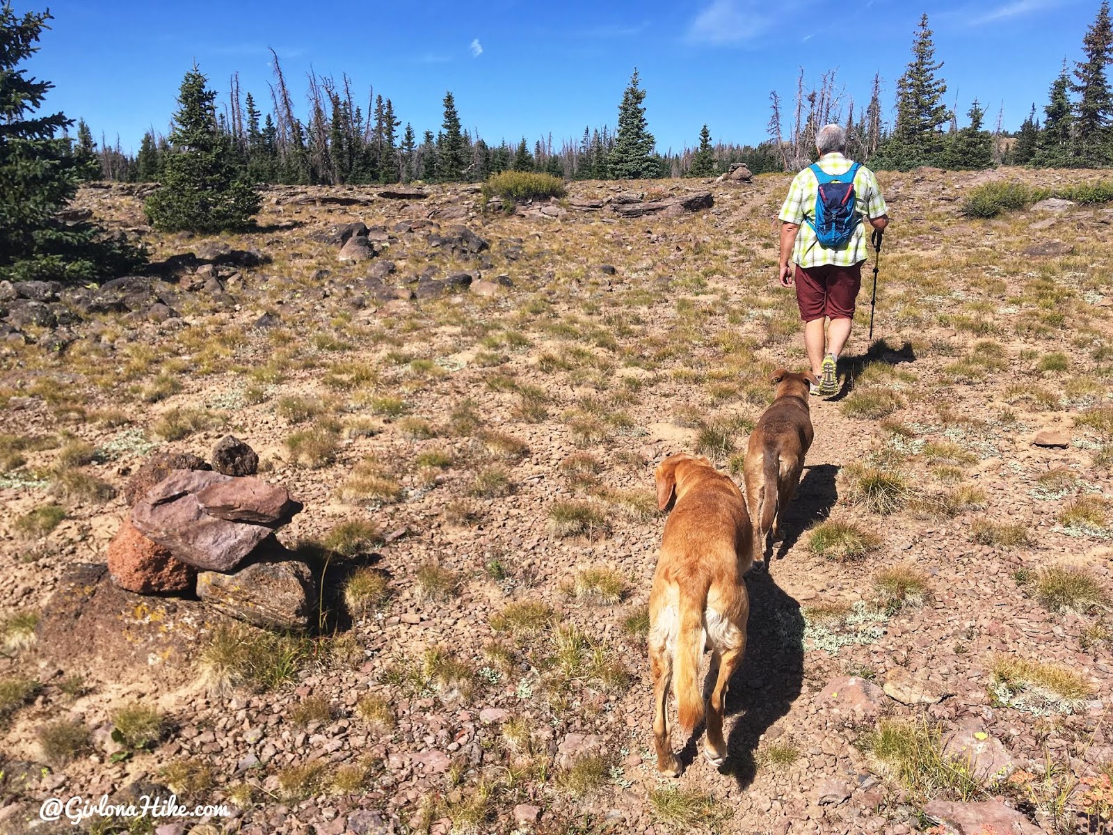 Hiking to Fish Lake Hightop, Sevier County High Point