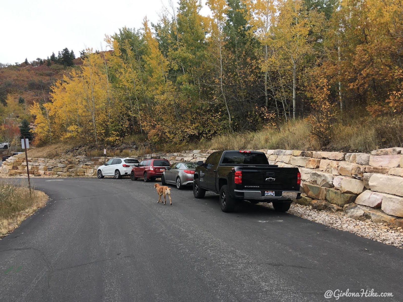 Hiking Iron Canyon, Park City, Utah, Hiking in Utah with Dogs