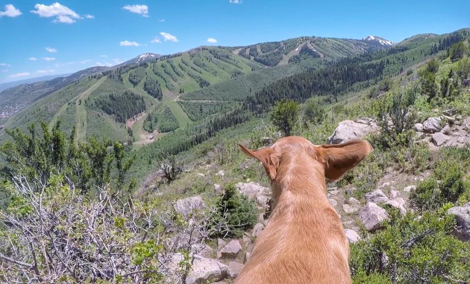 Hiking Iron Canyon in Park City