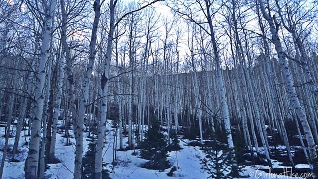 Iron Canyon trail, Park City, Utah