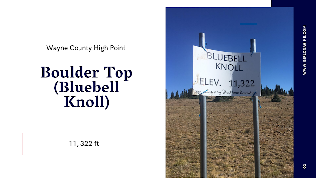 Boulder Top (Bluebell Knoll), Wayne County High Point