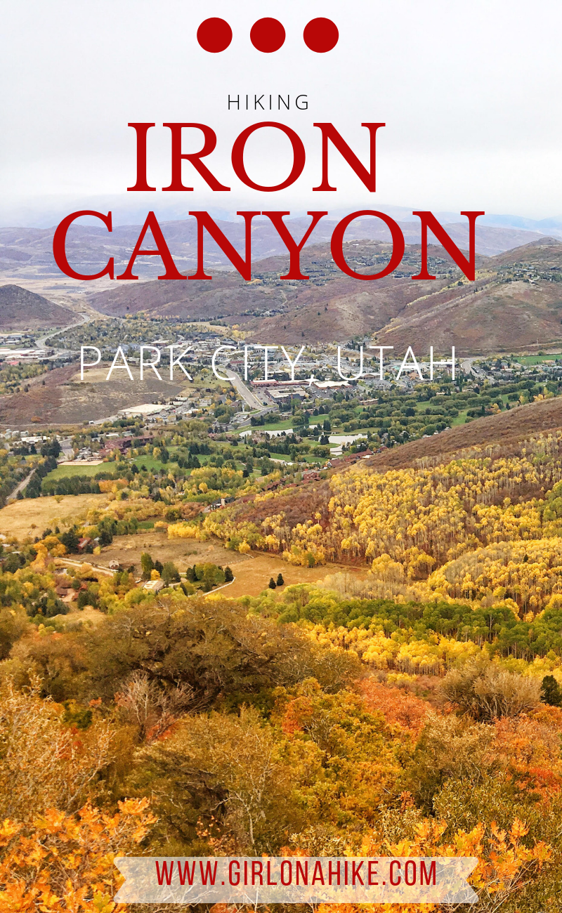 Hiking Iron Canyon, Park City, Utah, Hiking in Utah with Dogs