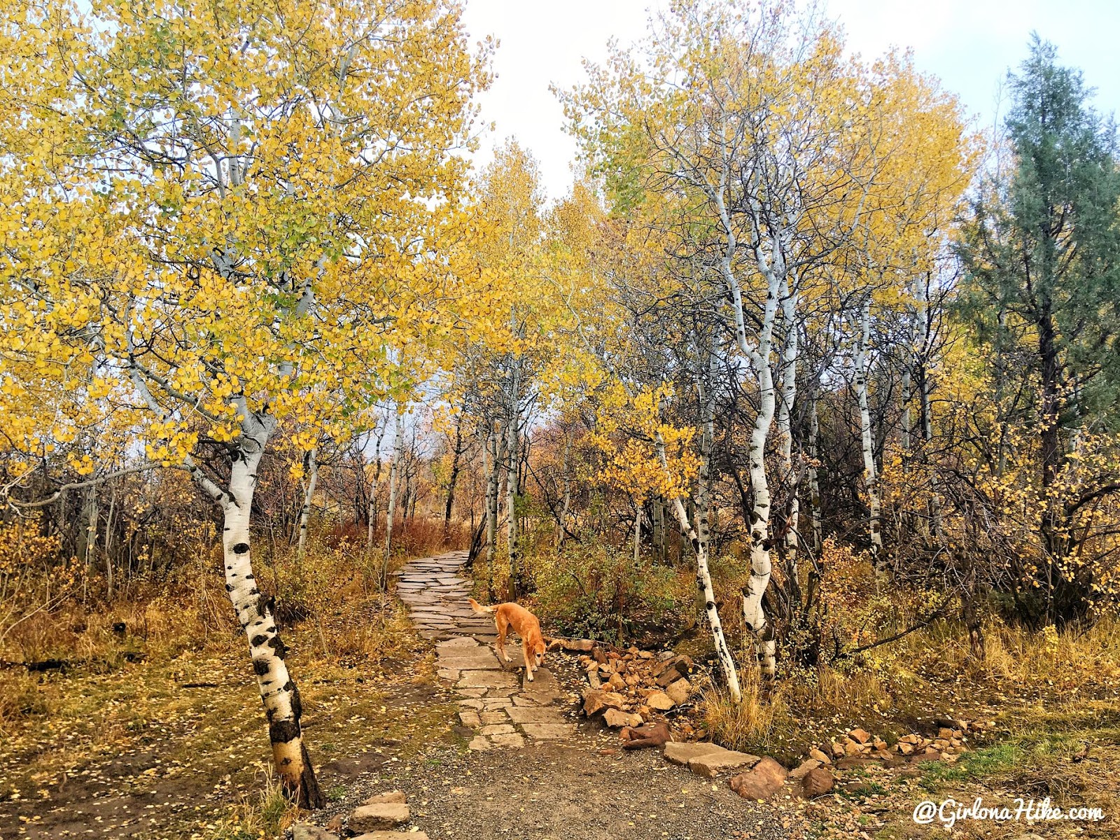 Run-a-Muk Dog Park & Trail Girl on a Hike