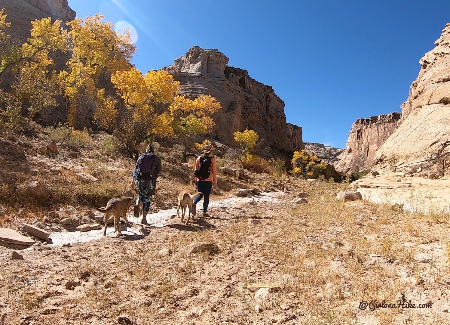 Hiking the Cottonwood Wash Trail, San Rafael Swell