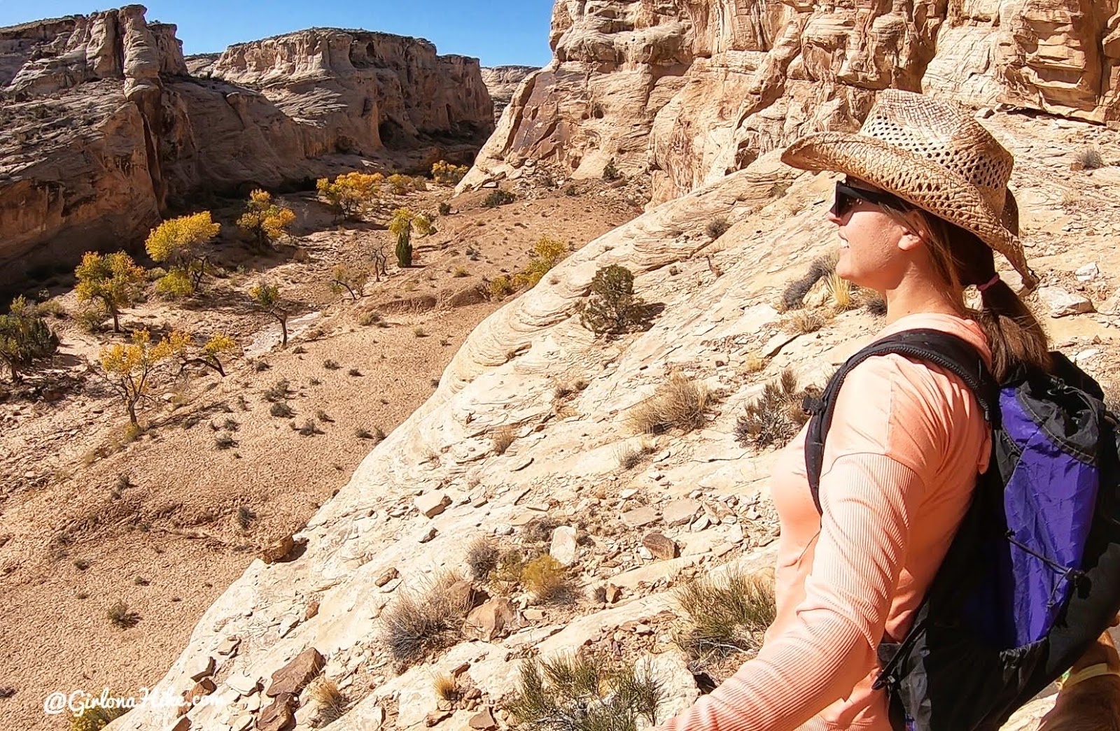 Camping & Exploring The Wedge Overlook