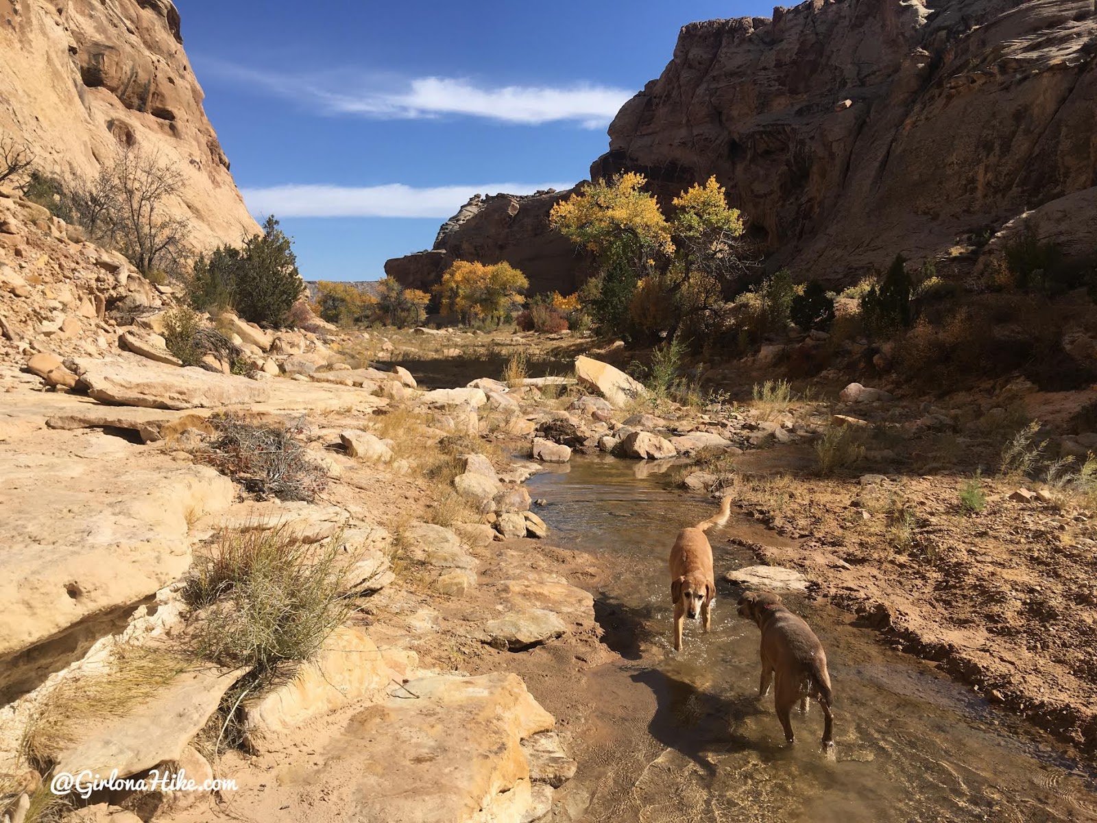 Hiking the Cottonwood Wash Trail, San Rafael Swell