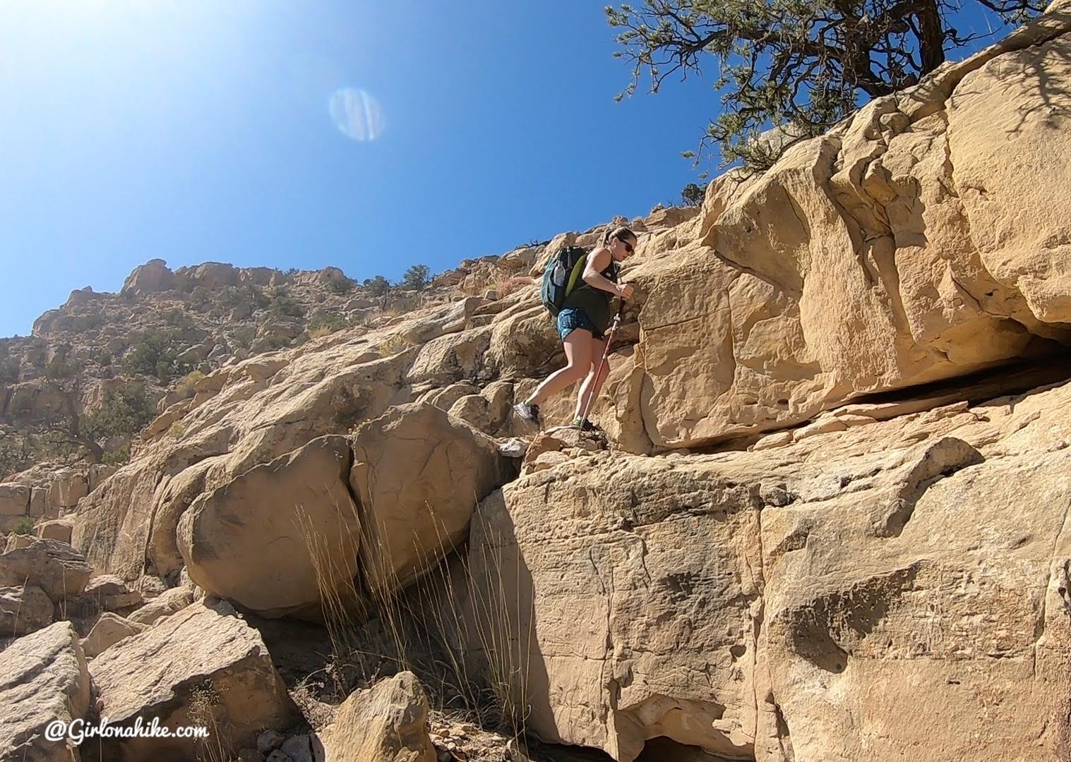 Hiking to Mt.Elliott, Book Cliff Mountains