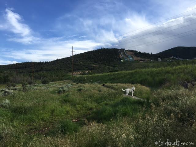 Run-a-Muk Dog Park & Trail, Hiking in Utah with Dogs