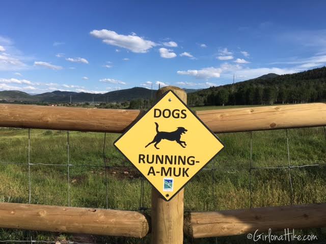 Run-a-Muk Dog Park & Trail, Hiking in Utah with Dogs