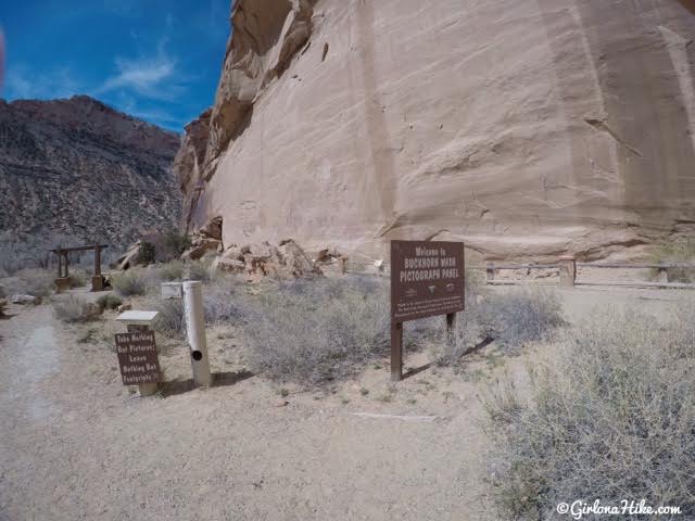 Camping & Exploring The Wedge Overlook