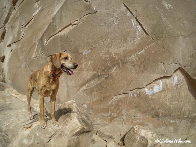 Camping & Exploring The Wedge Overlook