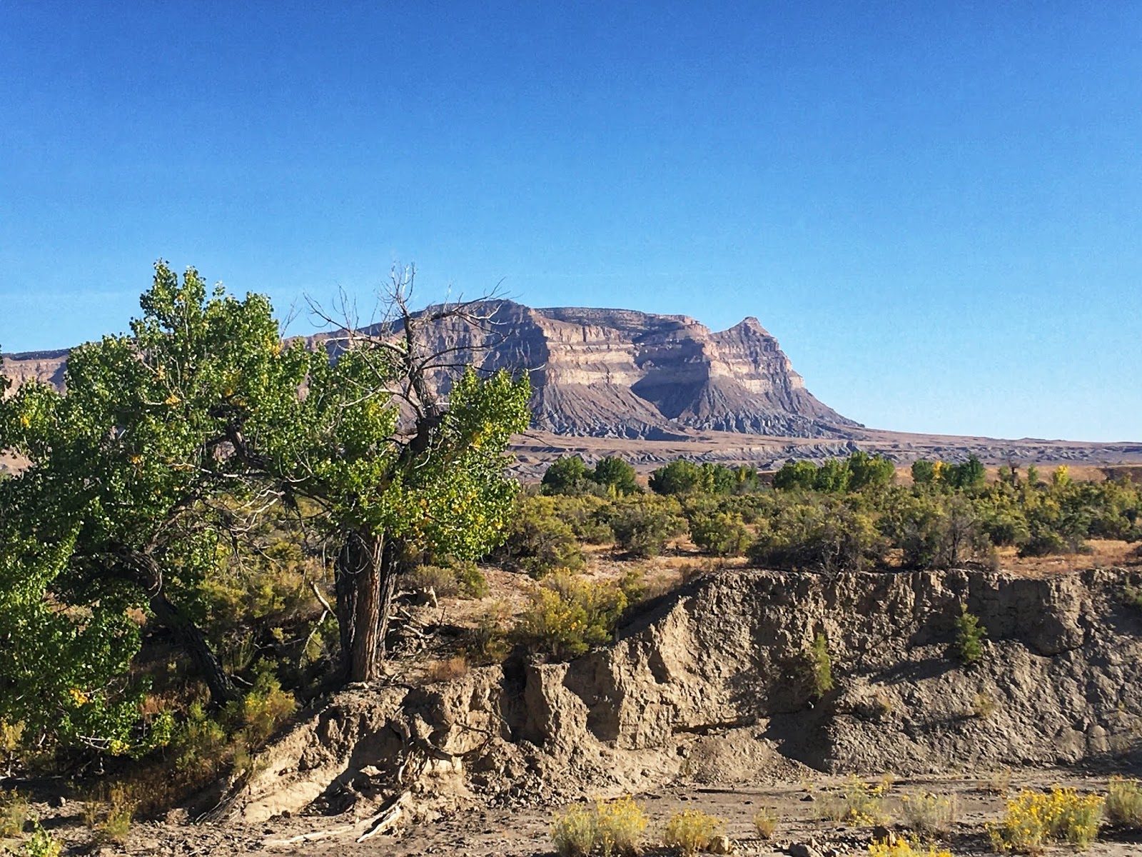 Hiking to Mt.Elliott, Book Cliff Mountains