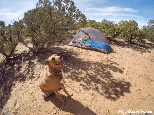 Camping & Exploring The Wedge Overlook