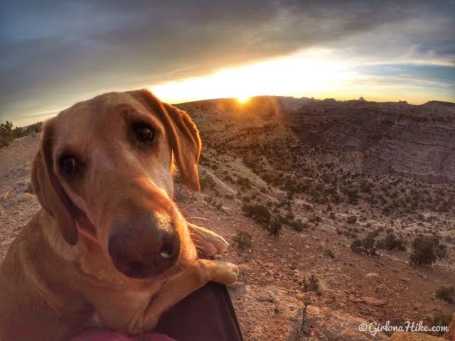 Camping & Exploring The Wedge Overlook