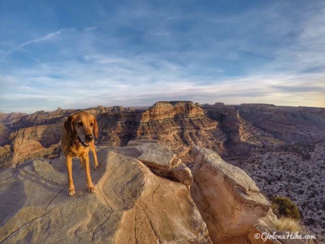 Camping & Exploring The Wedge Overlook