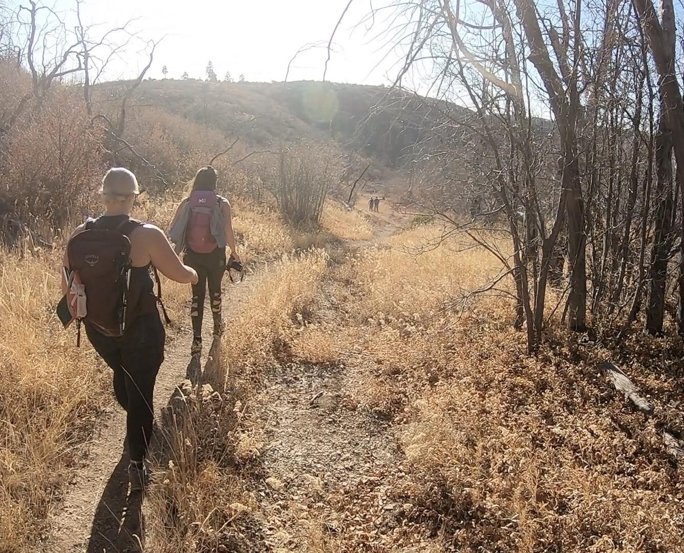 Hiking the West Rim Trail, Zion National Park