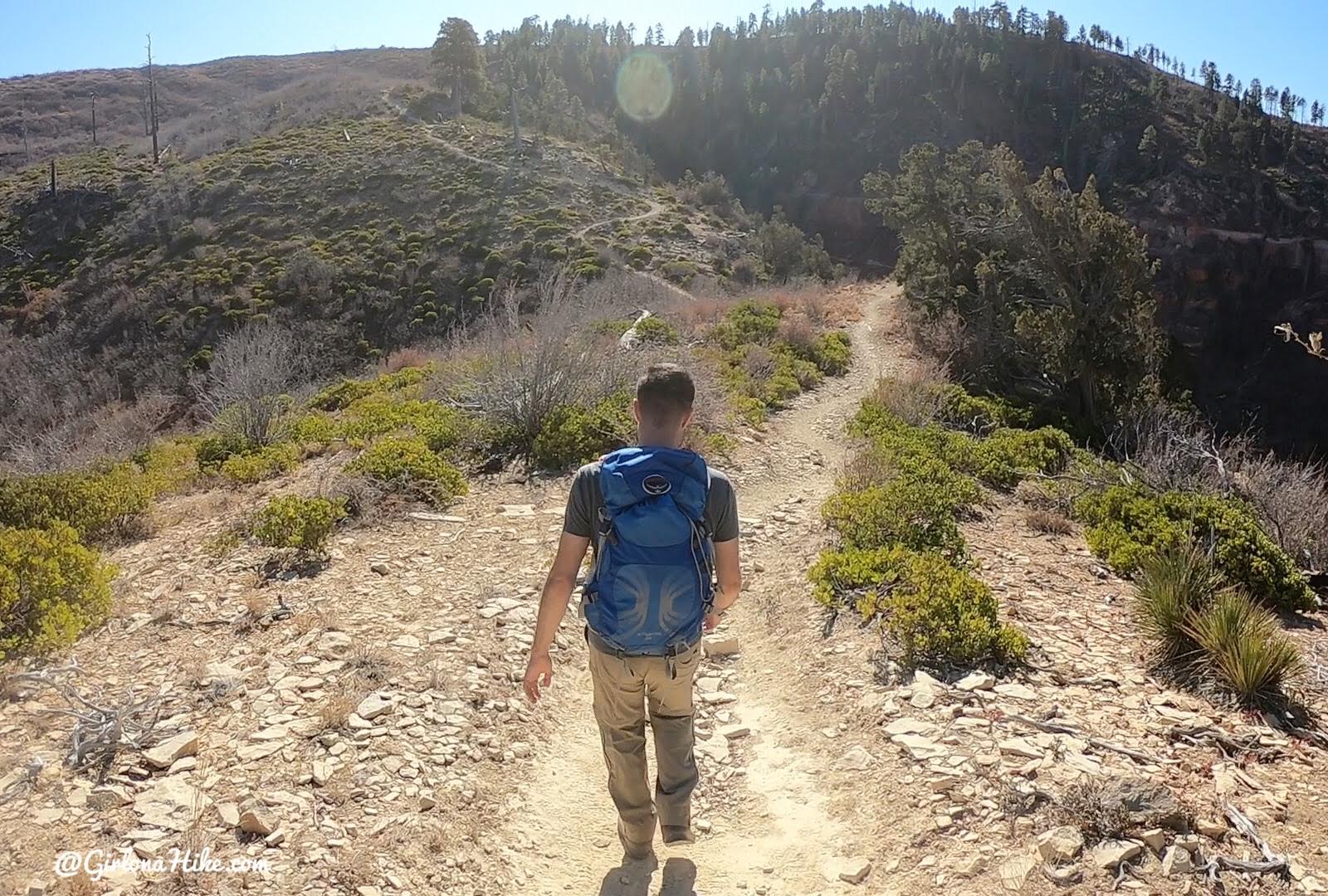 Hiking the West Rim Trail, Zion National Park