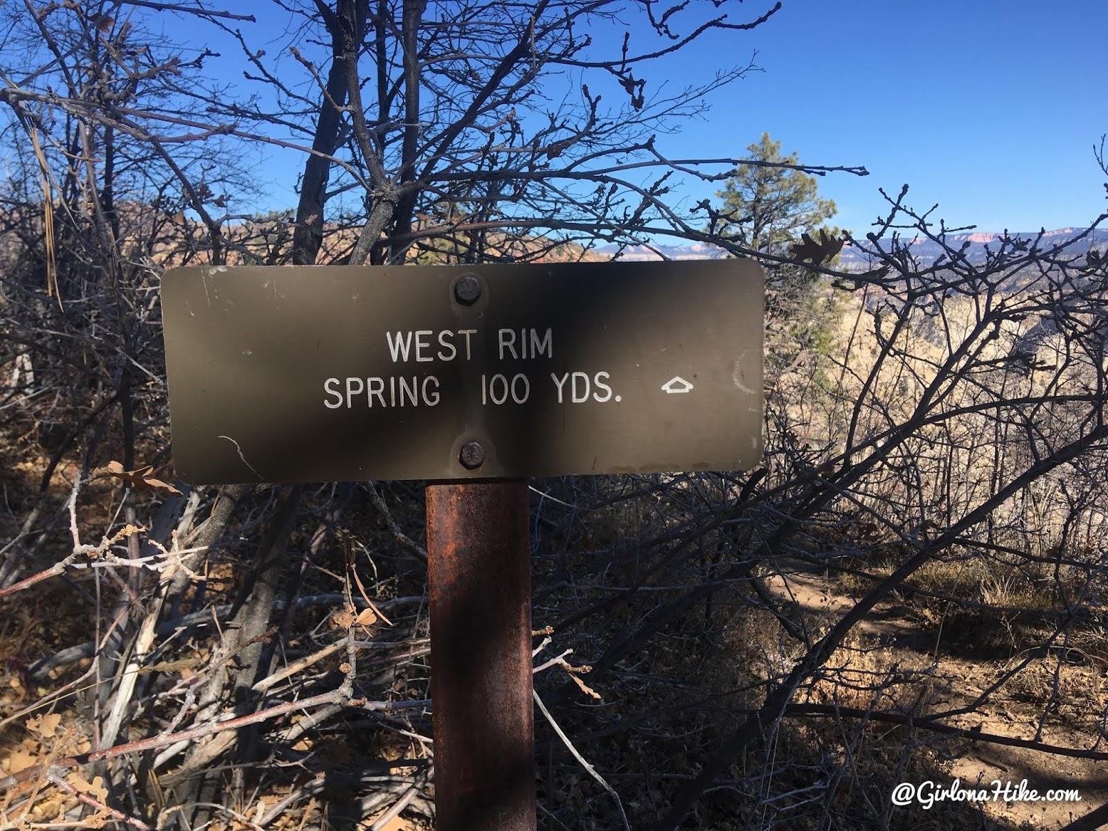 Hiking the West Rim Trail, Zion National Park