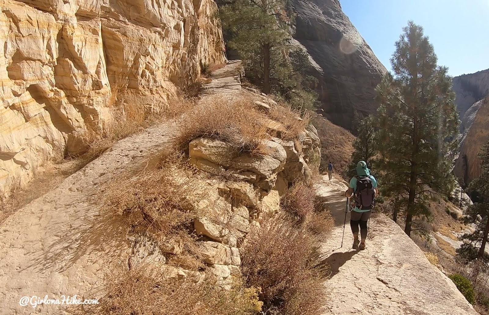 Hiking the West Rim Trail, Zion National Park