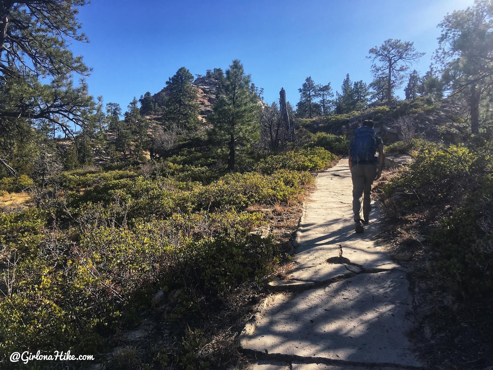 Hiking the West Rim Trail, Zion National Park