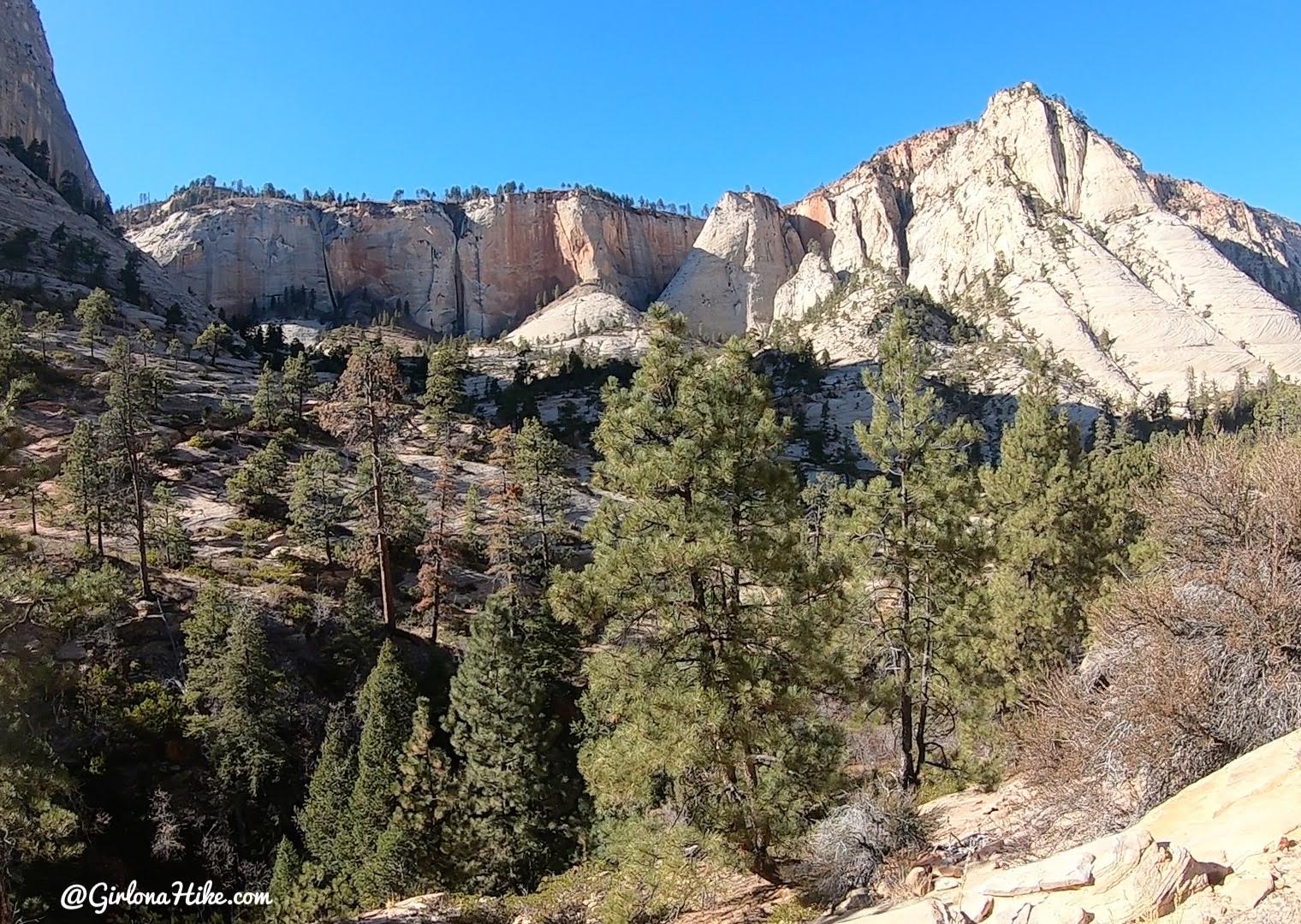 Hiking the West Rim Trail, Zion National Park