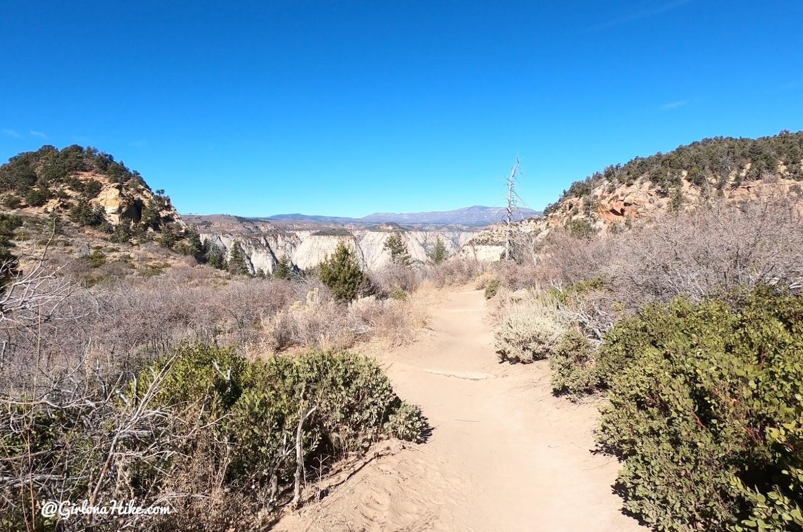 Hiking Observation Point from the East Mesa Trailhead, Zion National Park 