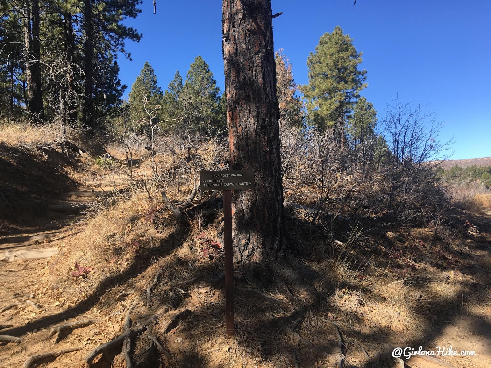 Hiking the West Rim Trail, Zion National Park