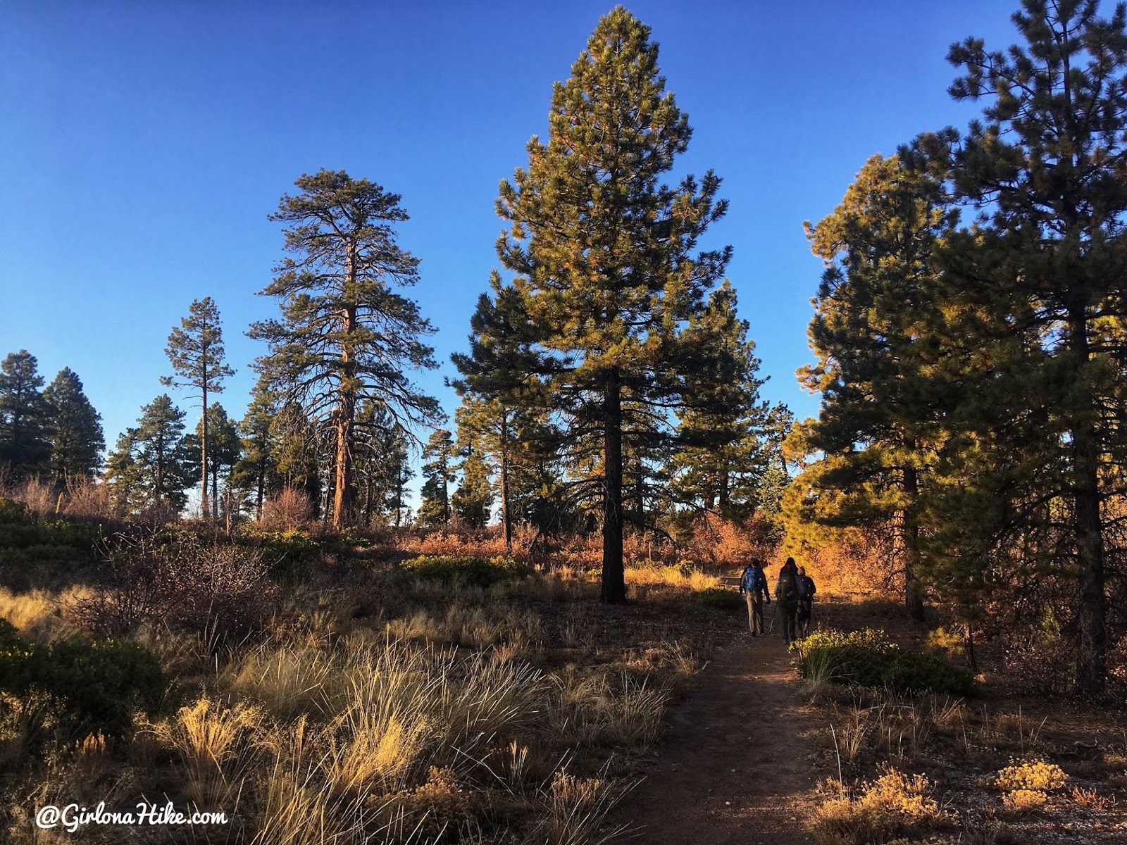 Hiking the West Rim Trail, Zion National Park